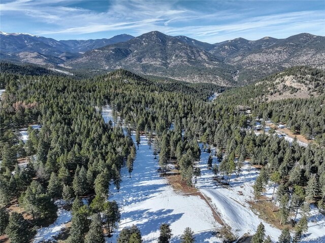 0000 S Elk Rdg, Evergreen, CO 80439 - photo 13