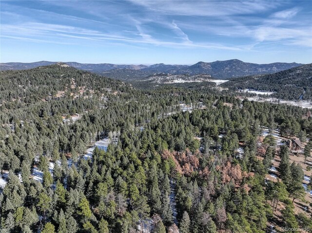 0000 S Elk Rdg, Evergreen, CO 80439 - photo 27