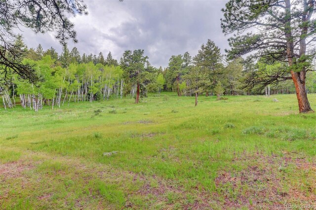 0000 S Elk Rdg, Evergreen, CO 80439 - photo 6