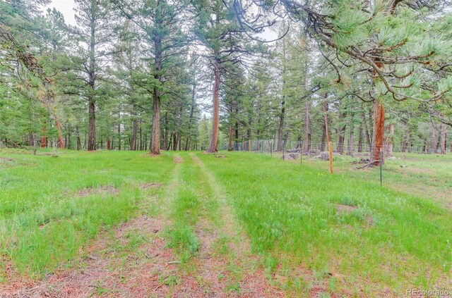 0000 S Elk Rdg, Evergreen, CO 80439 - photo 10