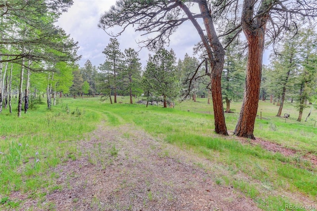 0000 S Elk Rdg, Evergreen, CO 80439 - photo 4