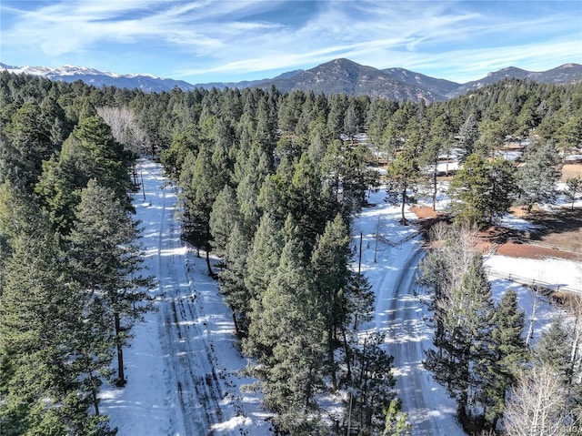 0000 S Elk Rdg, Evergreen, CO 80439 - photo 12