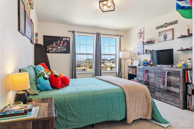 bedroom with carpet flooring