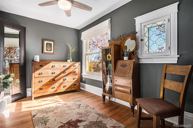 1419 N Adams St, Denver, CO 80206 - living area with wood finished floors and ceiling fan