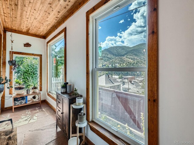 1516 Wall St, Idaho Springs, CO 80452 - photo 9