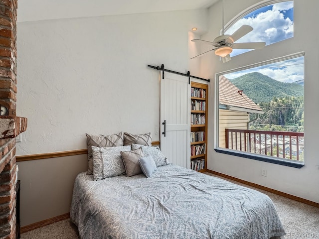 1516 Wall St, Idaho Springs, CO 80452 - photo 28