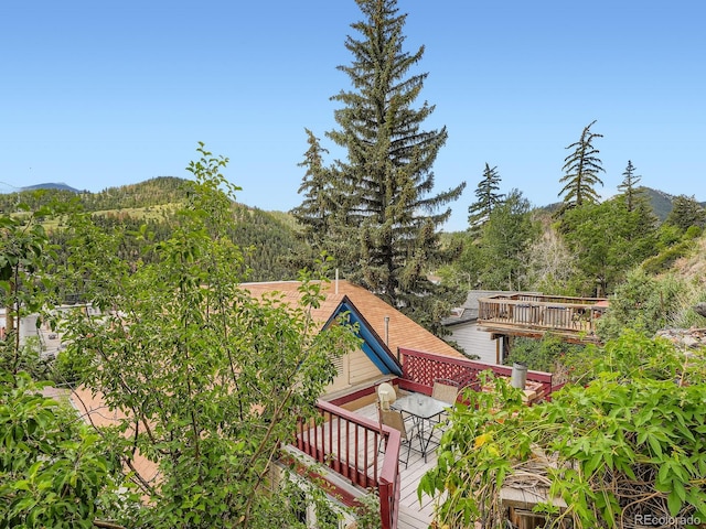 1516 Wall St, Idaho Springs, CO 80452 - photo 33
