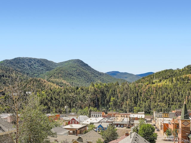 1516 Wall St, Idaho Springs, CO 80452 - photo 34