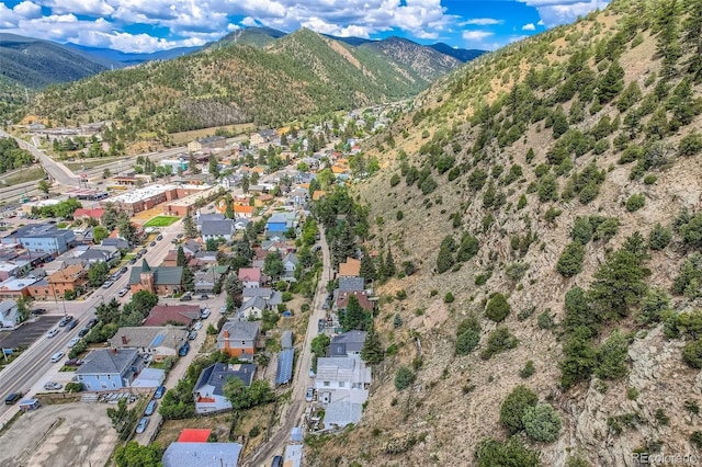 1516 Wall St, Idaho Springs, CO 80452 - photo 38
