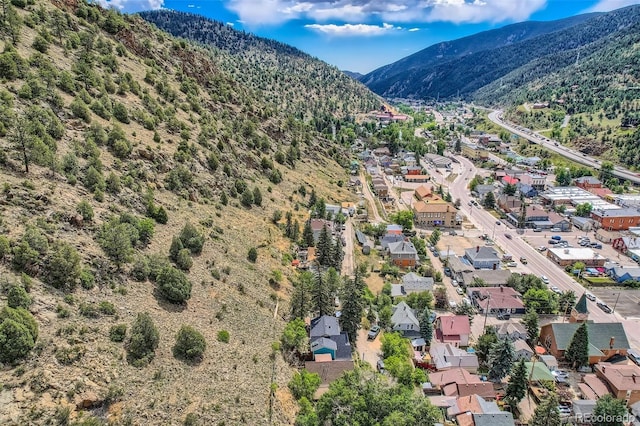1516 Wall St, Idaho Springs, CO 80452 - photo 39
