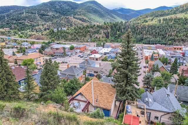 1516 Wall St, Idaho Springs, CO 80452 - photo 41