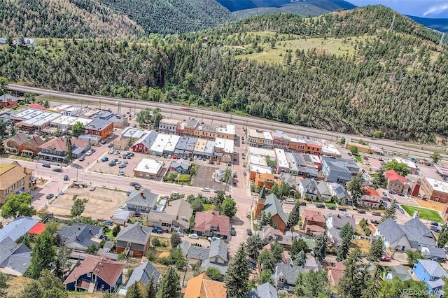 1516 Wall St, Idaho Springs, CO 80452 - photo 42