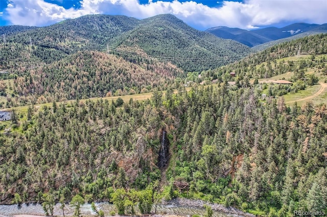 1516 Wall St, Idaho Springs, CO 80452 - photo 43