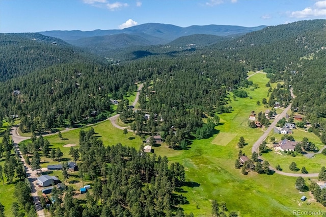 29263 Sue Rd, Evergreen, CO 80439 - photo 45