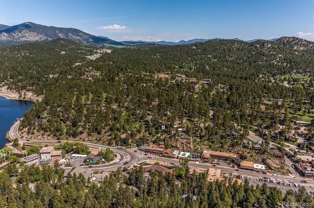 29263 Sue Rd, Evergreen, CO 80439 - photo 47
