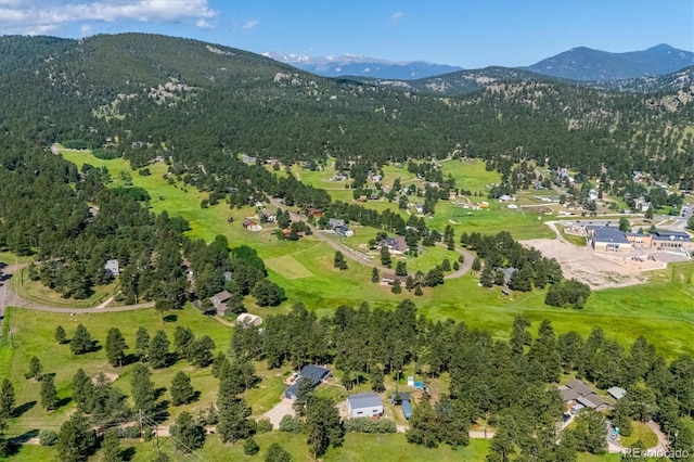 29263 Sue Rd, Evergreen, CO 80439 - photo 48