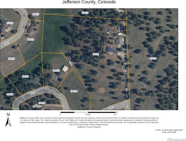 29263 Sue Rd, Evergreen, CO 80439 - photo 4