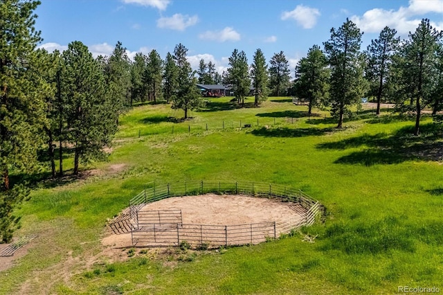 29263 Sue Rd, Evergreen, CO 80439 - photo 8