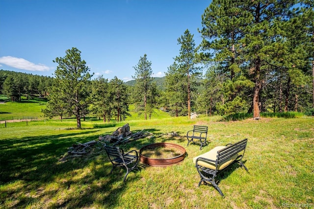 29263 Sue Rd, Evergreen, CO 80439 - photo 9