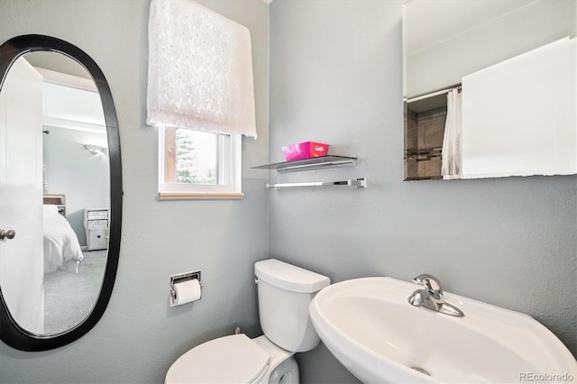 29263 Sue Rd, Evergreen, CO 80439 - photo 25