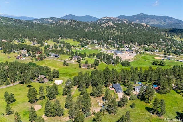 29263 Sue Rd, Evergreen, CO 80439 - photo 44