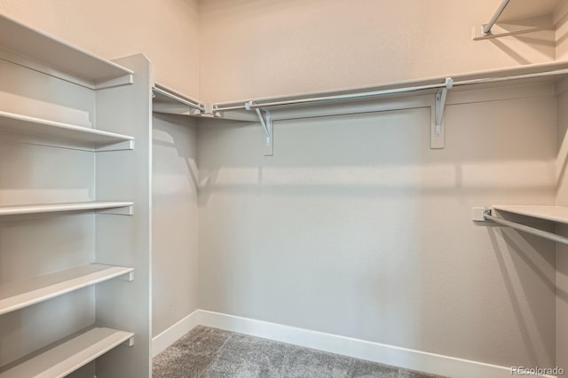 walk in closet with carpet flooring