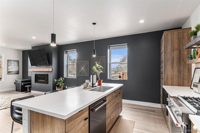 kitchen featuring modern cabinets, a sink, light wood-style floors, a fireplace, and appliances with stainless steel finishes