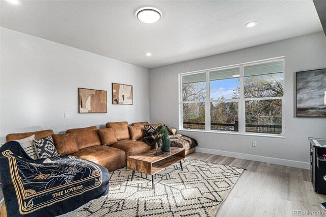 living room featuring baseboards, wood finished floors, and recessed lighting