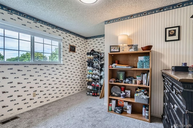 10851 Otis Cir, Westminster, CO 80020 - photo 21