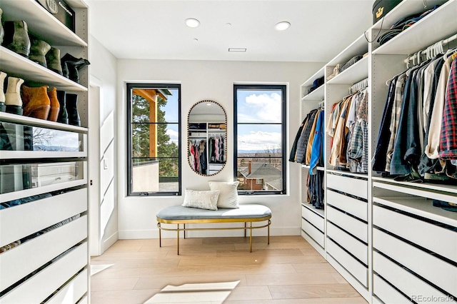 4520 W Moncrieff Pl, Denver, CO 80212 - walk in closet featuring light wood-style floors