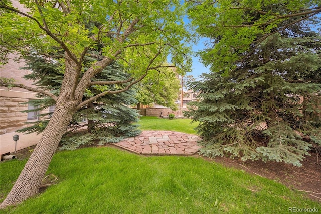1140 Columbine St Unit 106, Denver, CO 80206 - view of green lawn with a patio area