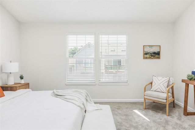 9663 W Chatfield Ave Unit C, Littleton, CO 80128 - photo 19