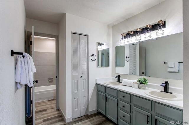 bathroom with a closet, double vanity, a sink, and wood finished floors