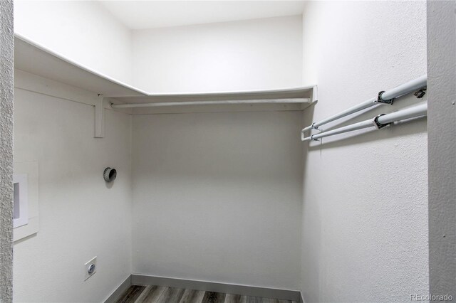 walk in closet featuring dark wood-type flooring