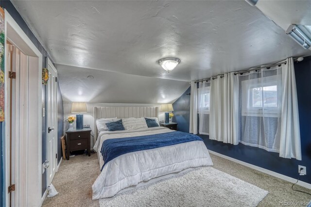 306 Elm St, Leadville, CO 80461 - photo 23