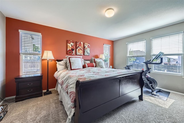 5280 Raritan Way, Denver, CO 80221 - bedroom with carpet and baseboards