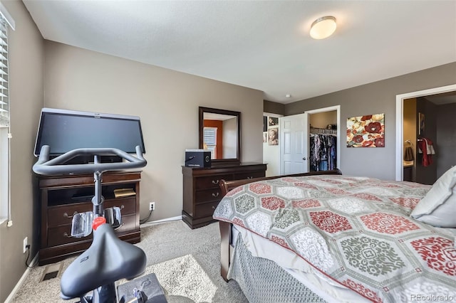 5280 Raritan Way, Denver, CO 80221 - bedroom featuring carpet, a spacious closet, a closet, and connected bathroom