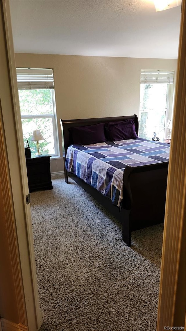 13030 W 58th Ave, Arvada, CO 80002 - photo 19