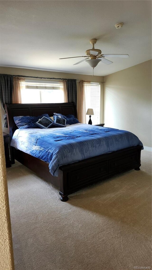 13030 W 58th Ave, Arvada, CO 80002 - photo 20