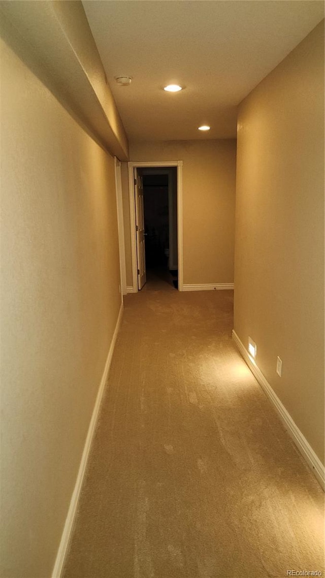 13030 W 58th Ave, Arvada, CO 80002 - photo 25