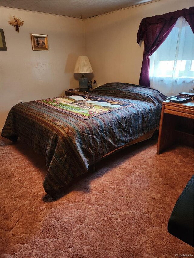 5272 W County Road 5, Del Norte, CO 81132 - photo 20