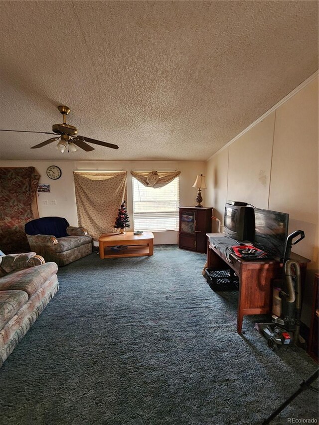 5272 W County Road 5, Del Norte, CO 81132 - photo 30