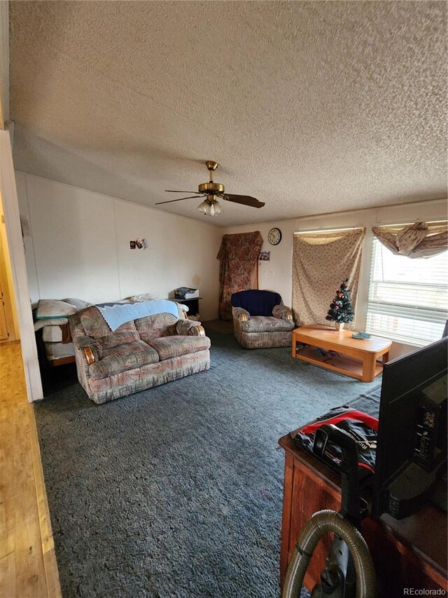 5272 W County Road 5, Del Norte, CO 81132 - photo 31