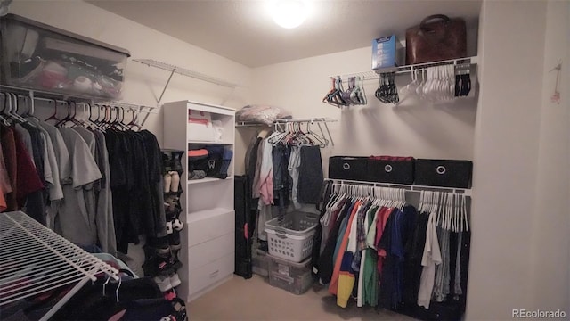 view of walk in closet