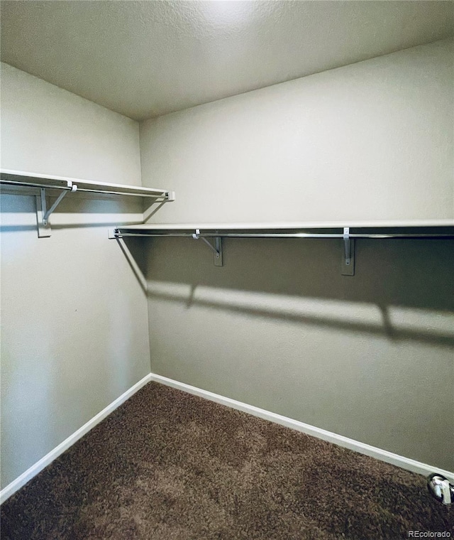 spacious closet featuring carpet