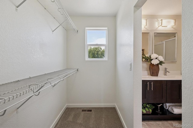 10844 Telluride St, Commerce City, CO 80022 - walk in closet with a sink