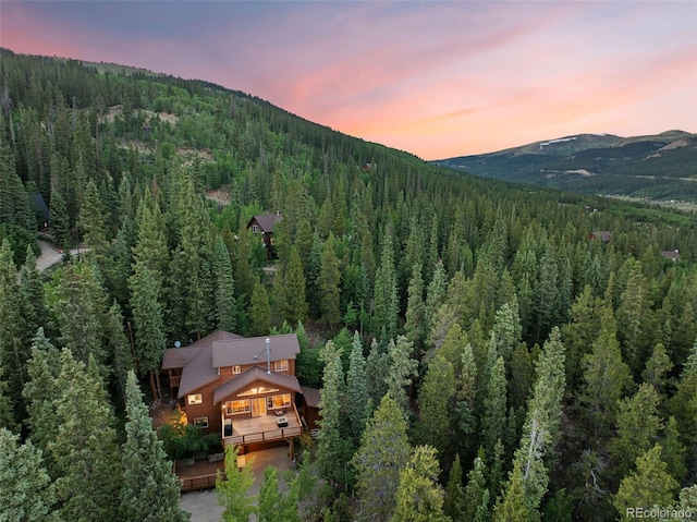 208 Bauxite Ln, Alma, CO 80420 - photo 49