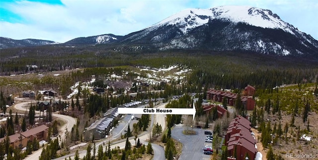 birds eye view of property with a forest view and a mountain view
