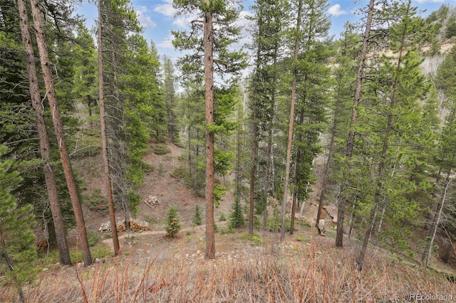 30 Carroll Ct, Black Hawk, CO 80422 - view of tree filled area