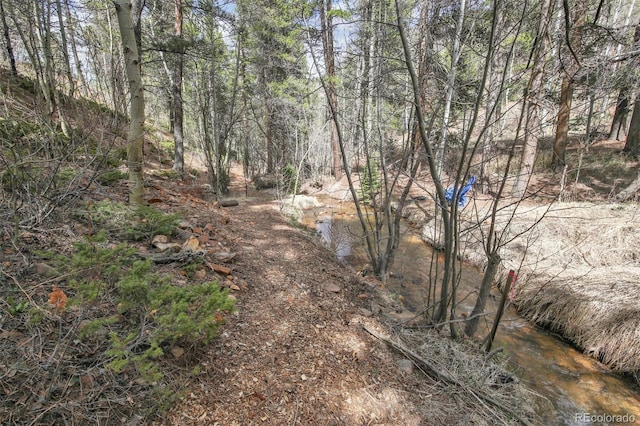 30 Carroll Ct, Black Hawk, CO 80422 - view of nature